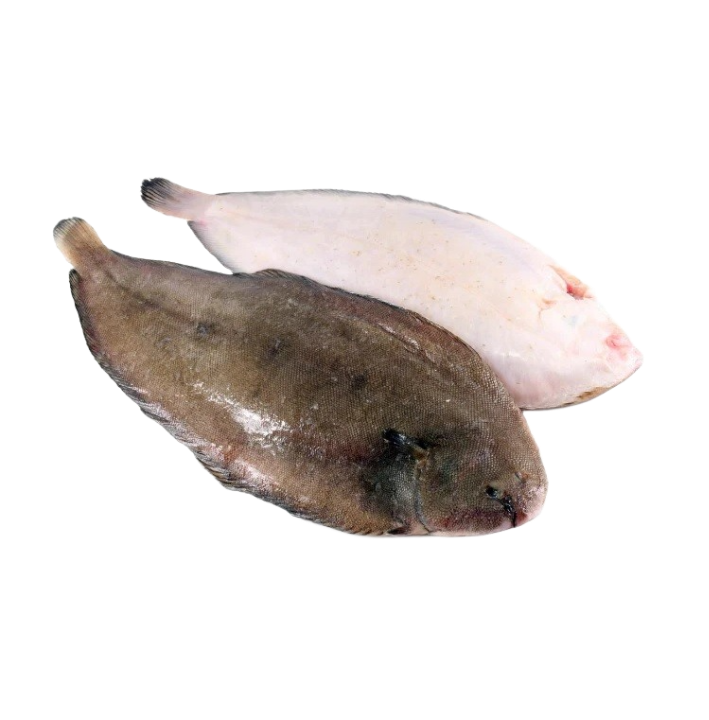 Dover Sole (Holland)